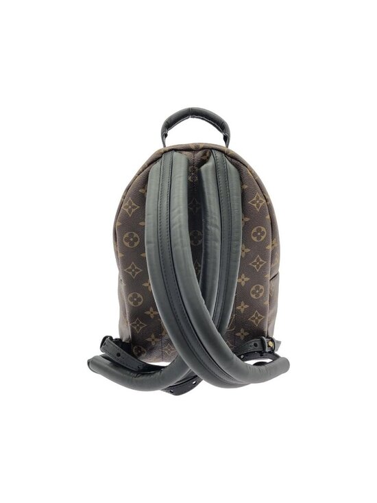Louis Vuitton Monogram Palm Springs Backpack PM main image 7